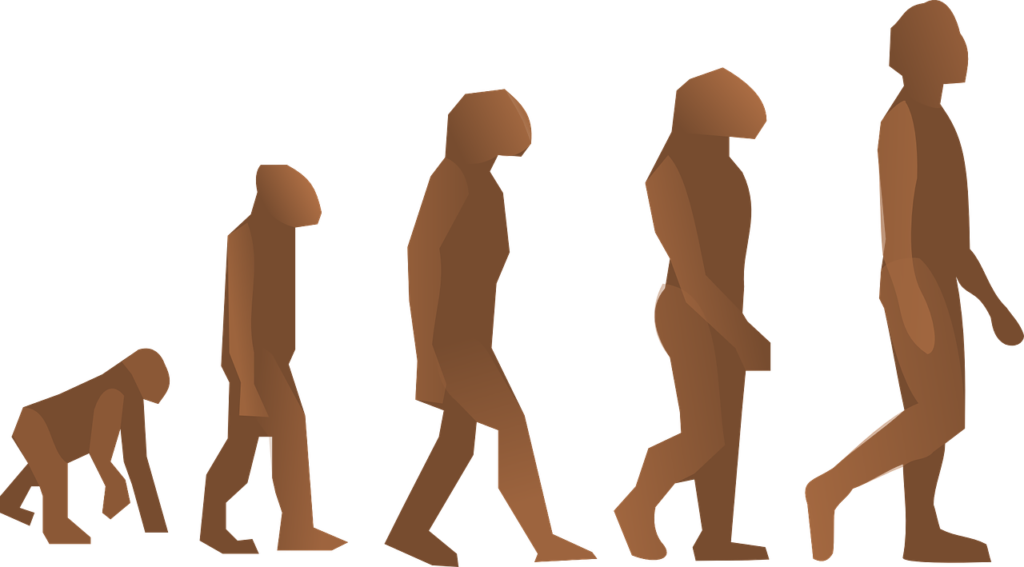 A teoria da evolução de Charles Darwin e a seleção natural.