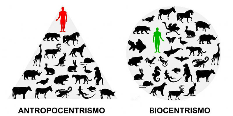 Antropocentrismo e Biocentrismo. Em busca de um equilíbrioético e sustentável.