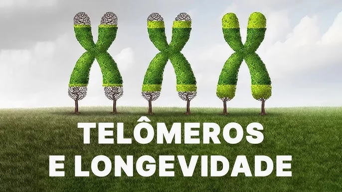 Os telômeros e a Longevidade