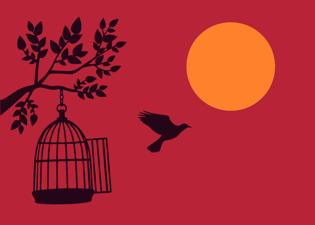 Libertação do Ciclo Estigmatizante.