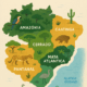 Os Biomas brasileiros