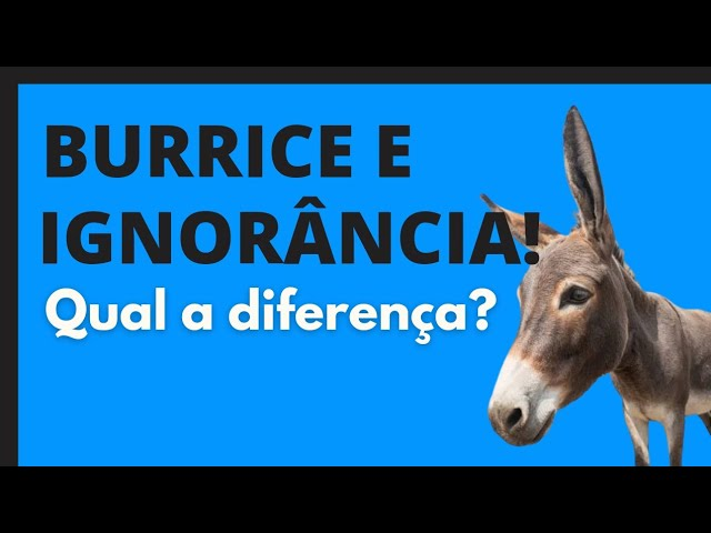 Ignorância e Burrice